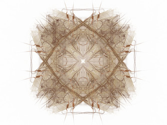 Similar image 14515822