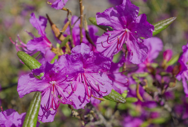 Similar image 14513740