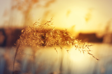 Similar image 14515167