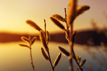 Similar image 14515168