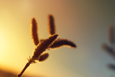 Similar image 14515169