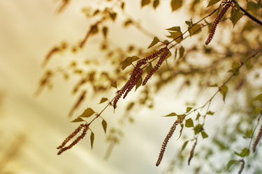 Similar image 14515190