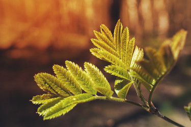 Similar image 14515203