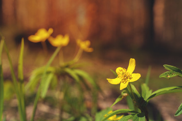 Similar image 14515206