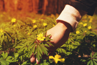 Similar image 14515210