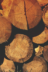 Similar image 14515273