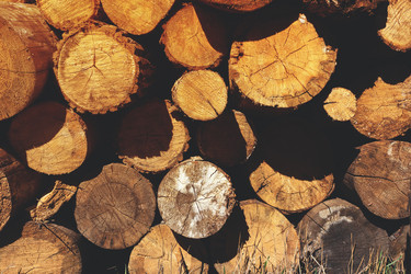 Similar image 14515274