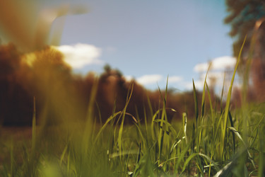 Similar image 14515277