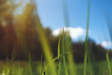 Similar image 14515290