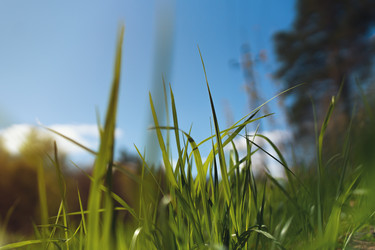 Similar image 14515292