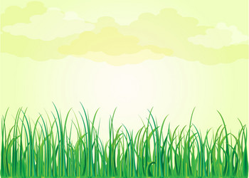 Similar image 13326015