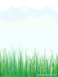 Similar image 13326092