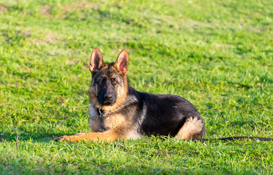 Similar image 14509363