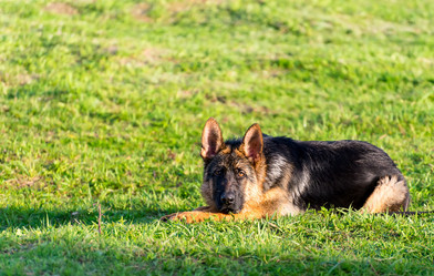 Similar image 14509364