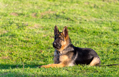 Similar image 14509371