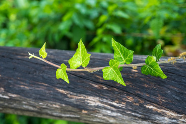 Similar image 14513052