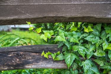 Similar image 14513056