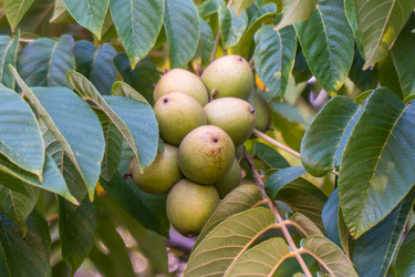 Similar image 14513074