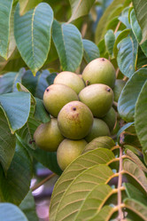 Similar image 14513075