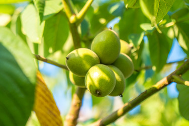 Similar image 14513078