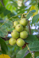 Similar image 14513079