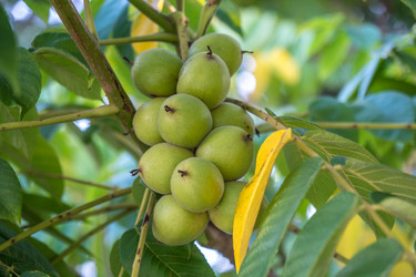 Similar image 14513080