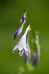 Similar image 14513101