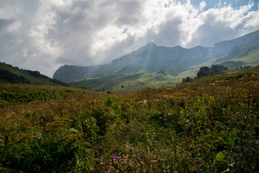 Similar image 14513420