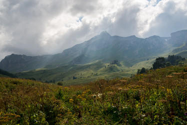 Similar image 14513421