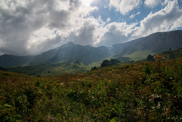 Similar image 14513422