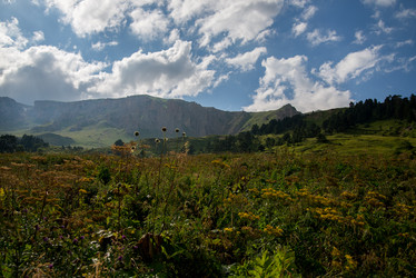 Similar image 14513423