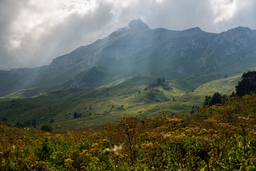 Similar image 14513424