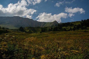 Similar image 14513425