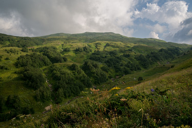 Similar image 14513441