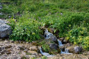 Similar image 14513442