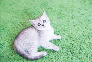 Similar image 14513411