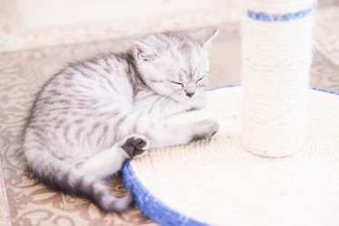 Similar image 14513413