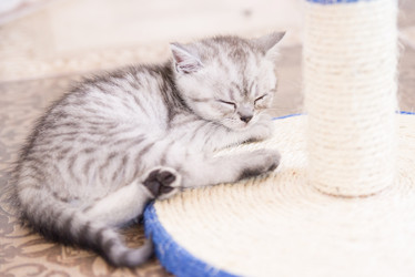 Similar image 14513414