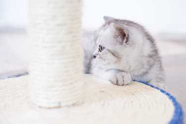 Similar image 14513415