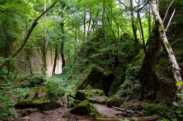 Similar image 14513417