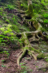 Similar image 14513435