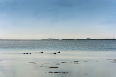 Similar image 13414957