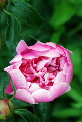 Similar image 13325796