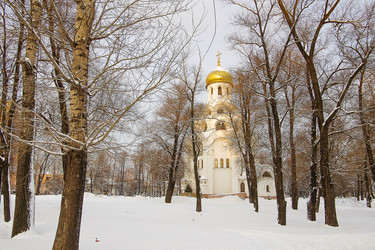 Similar image 14232576