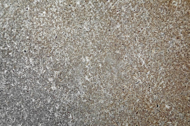 Similar image 13335672