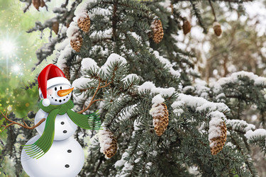 Similar image 14869844