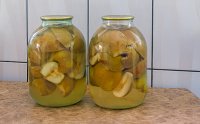 Similar image 13371675