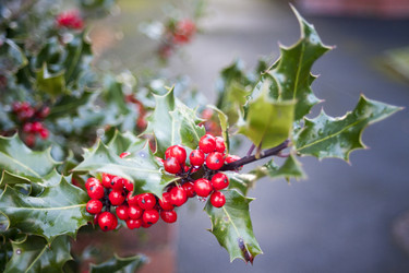 Similar image 14513020