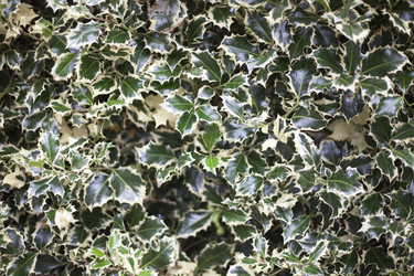 Similar image 14513035