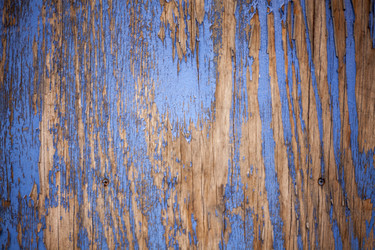 Similar image 14513050